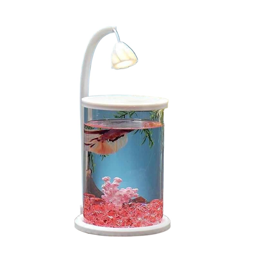 Amazon | 水槽 フィルター ポンプ メダカ ライト セット コンパクト